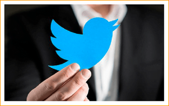 Read more about the article Twitter Marketing Hero