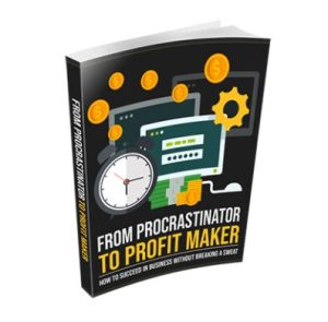 From Procrastinator to Profit Maker - eBook with Resell Rights